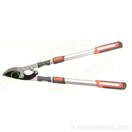 Garden élagage des arbres fruitiers branches ciseaux outils de jardinage